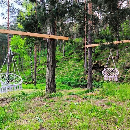 Vila Pogled Wellness I Spa Divčibare Eksteriør bilde