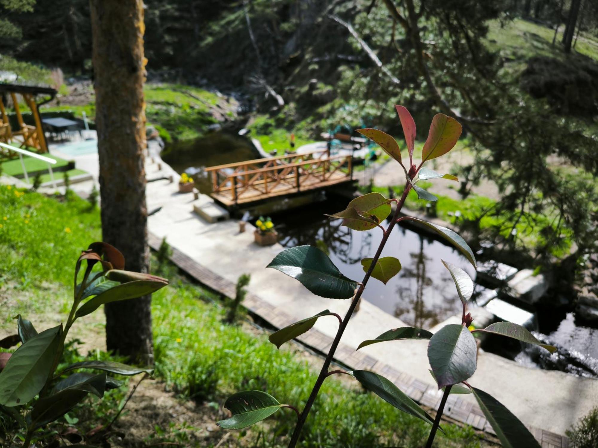 Vila Pogled Wellness I Spa Divčibare Eksteriør bilde